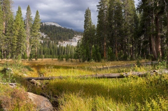 Картинка природа пейзажи простор