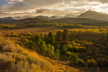 Картинка природа пейзажи простор