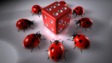 Картинка 3д+графика животные+ animals божьи коровки