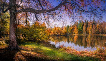 Картинка природа реки озера простор