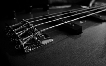 Картинка музыка -музыкальные+инструменты струны