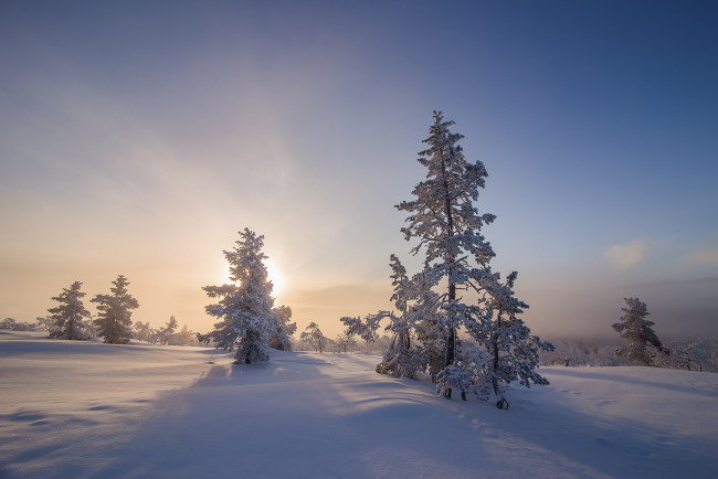 Обои картинки фото природа, зима, простор