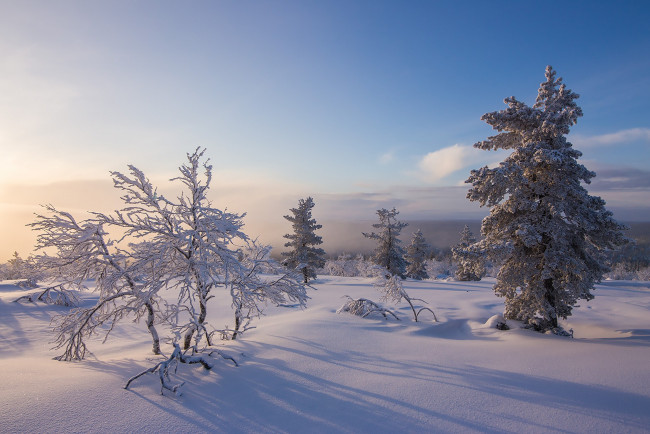 Обои картинки фото природа, зима, простор