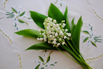 Картинка цветы ландыши