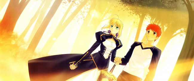 Обои картинки фото аниме, fate, stay night,  grand order,  apocrypha, судьба, ночь, схватки