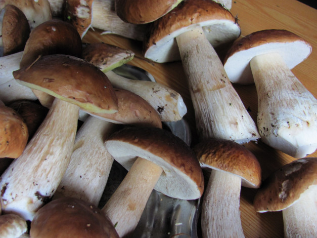 Обои картинки фото еда, грибы,  грибные блюда, боровики