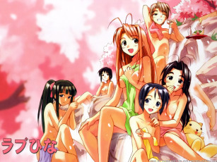 Картинка аниме love hina