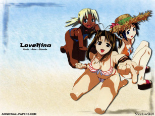 Картинка аниме love hina