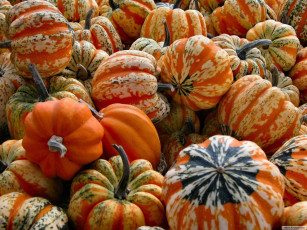 Картинка еда тыква