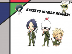 Картинка аниме katekyo hitman reborn