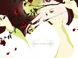 Картинка аниме tenjou tenge