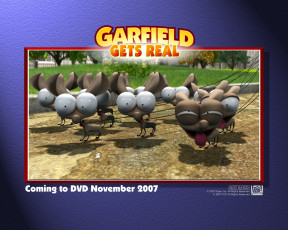 Картинка мультфильмы garfield