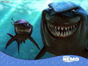 Картинка мультфильмы finding nemo