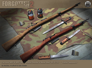 Картинка видео игры forgotten hope