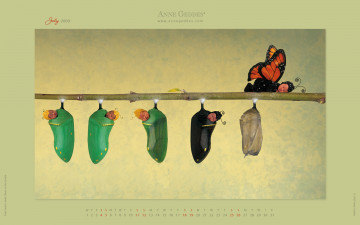 Картинка календари дети