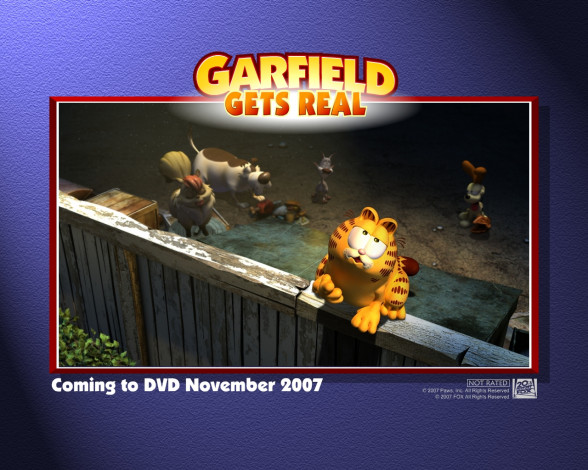 Обои картинки фото мультфильмы, garfield