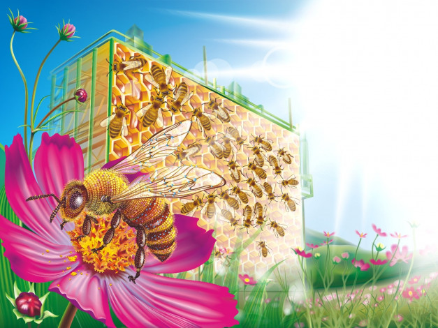 Обои картинки фото векторная, графика