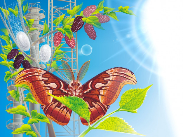 Обои картинки фото векторная, графика