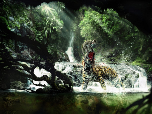 Обои картинки фото юмор, приколы