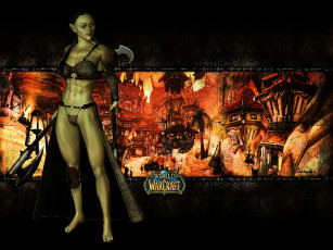 Картинка видео игры world of warcraft
