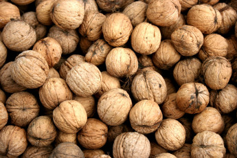 Картинка еда орехи каштаны много грецкие