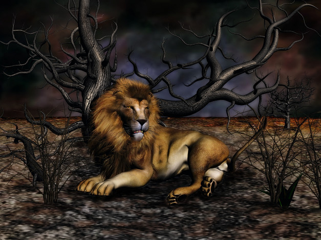 Обои картинки фото 3д, графика, animals, животные, лев