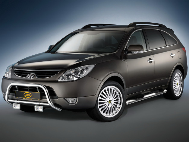 Обои картинки фото автомобили, hyundai, cobra