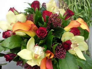 Картинка цветы букеты композиции орхидеи розы букет каллы