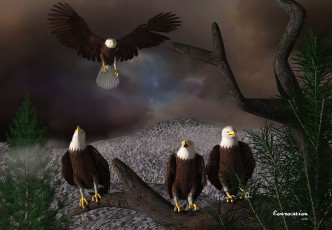 Картинка 3д графика animals животные орлы