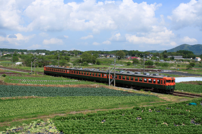 Обои картинки фото техника, поезда, поезд