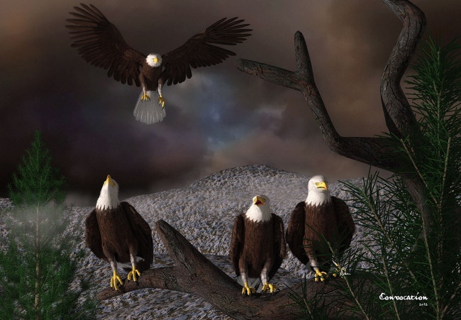 Обои картинки фото 3д, графика, animals, животные, орлы