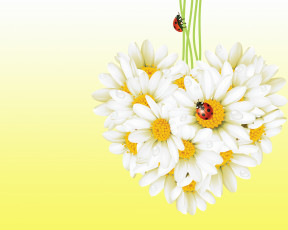 Картинка векторная+графика цветы+ flowers ромашка божья коровка насекомые цветы