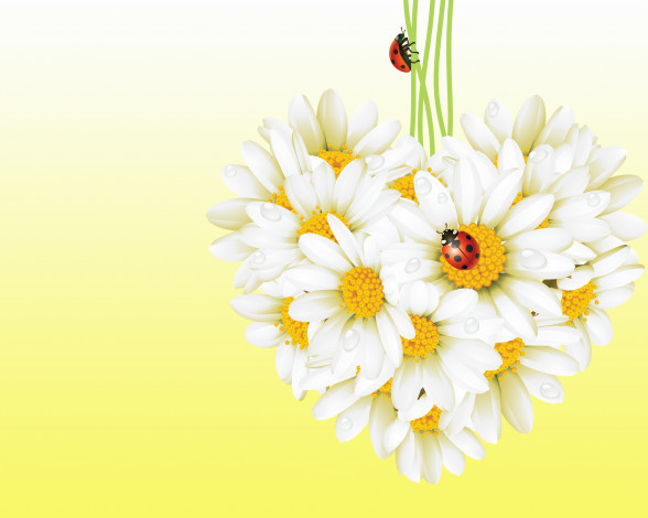 Обои картинки фото векторная графика, цветы , flowers, ромашка, божья, коровка, насекомые, цветы