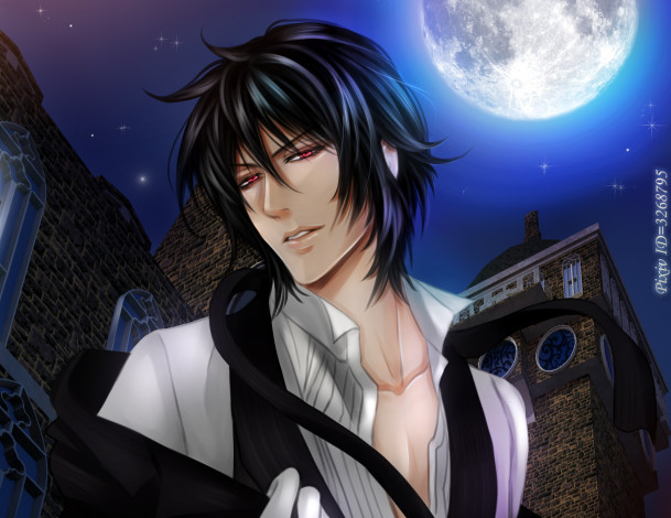 Обои картинки фото разное, арты, небо, михаэлис, себастьян, луна, ночь, арт, тёмный, дворецкий