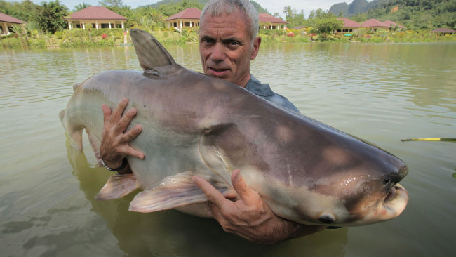 Обои картинки фото разное, рыбалка,  рыбаки,  улов,  снасти, улов, река, взгляд, мужчина