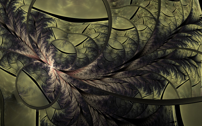 Обои картинки фото 3д графика, фракталы , fractal, цвета, фон, узор