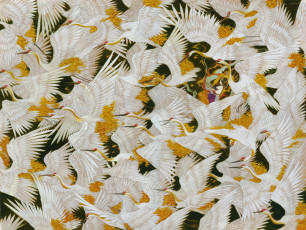 Картинка аниме животные +существа девушка