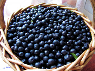 Картинка еда голубика +черника корзинка черника много