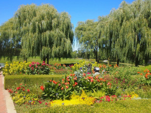 Картинка природа парк деревья цветы