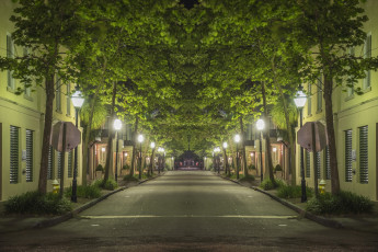 Картинка природа дороги здания фонари деревья