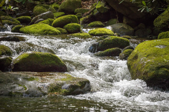 Картинка природа водопады вода поток водопад autumn leaves water waterfall осень stream листья