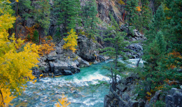 Картинка природа реки озера река лес