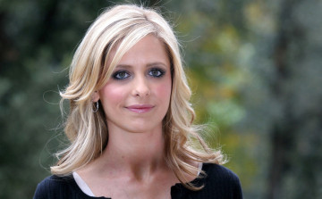 Картинка девушки sarah+michelle+gellar кофта улыбка лицо блондинка актриса сара мишель геллар