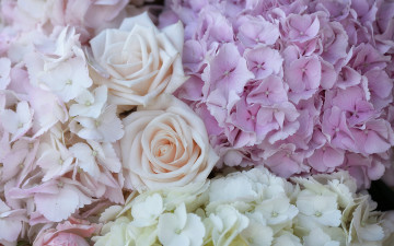 Картинка цветы разные+вместе розы гортензия макро