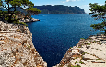 Картинка франция природа побережье водоем деревья скалы