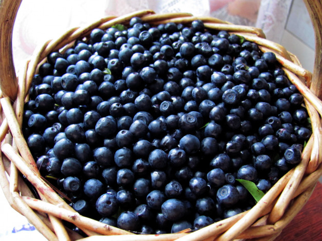 Обои картинки фото еда, голубика,  черника, корзинка, черника, много