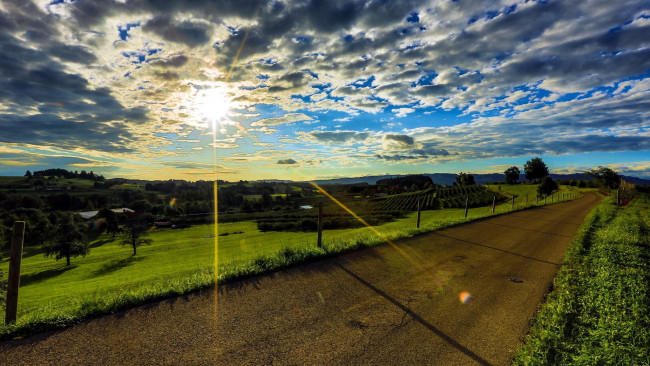 Обои картинки фото природа, дороги, дорога, лето, солнце, облака, проселочная