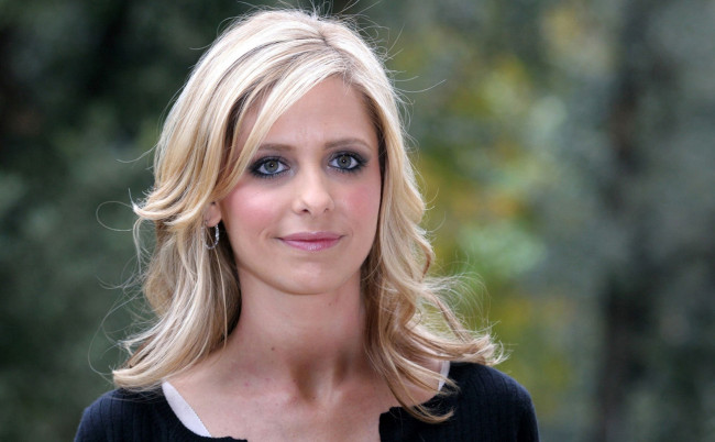 Обои картинки фото девушки, sarah michelle gellar, кофта, улыбка, лицо, блондинка, актриса, сара, мишель, геллар