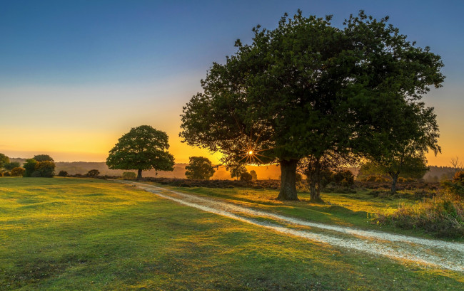 Обои картинки фото природа, дороги, трава, деревья, солнце