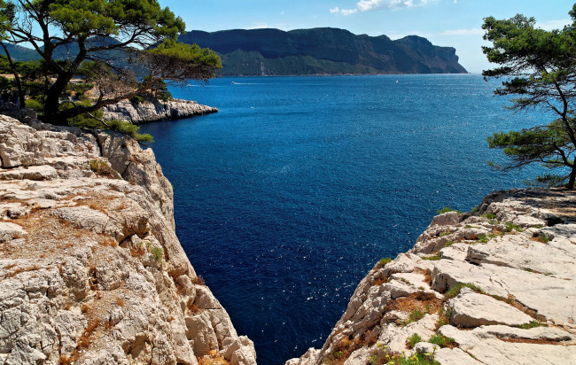 Обои картинки фото франция, природа, побережье, водоем, деревья, скалы